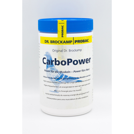 Dr. Brockamp Carbo Power 500g